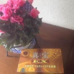 Anly様専用　真宝2箱　オマケ付きのサムネイル