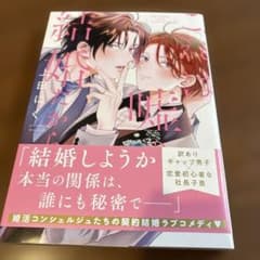 これは嘘の結婚だから 上田にく ボーイズラブ漫画のサムネイル