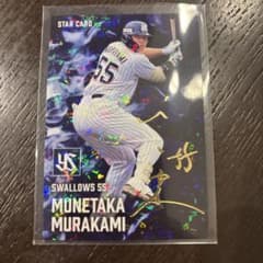 m49580101009_1.jpg?1755956230