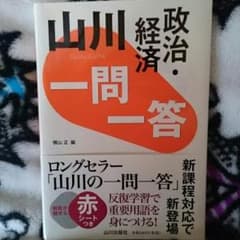 山川　政治・経済　一問一答のサムネイル