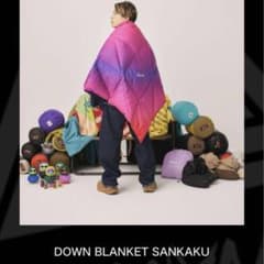 m49592158331_1.jpg?1733155458