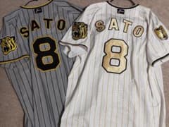 m49596288089_1.jpg?1731674388