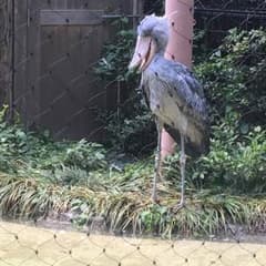 yuy専用のサムネイル