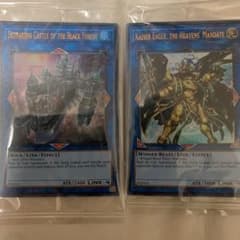 遊戯王 店舗代表セットのサムネイル