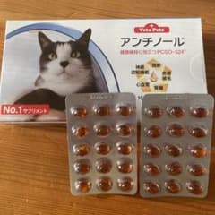 アンチノール  30錠のサムネイル