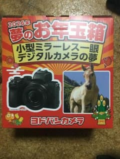 ヨドバシカメラ 夢のお年玉箱 2026 小型ミラーレス一眼デジタルカメラ