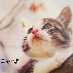 ☆ゆうママ☆様専用のサムネイル