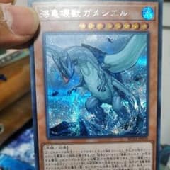 遊戯王海亀壊獣ガメシエル　シクのサムネイル