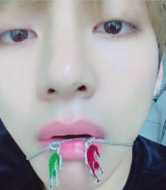 GUCCI タイガーチャーム 赤 bts テテ 着用のサムネイル