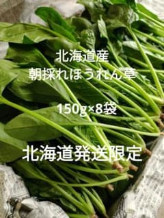 【道内発送限定】ほうれん草 1.2kgのサムネイル