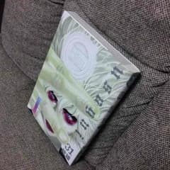 嘘喰い 31巻のサムネイル