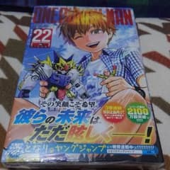 ワンパンマン 22のサムネイル