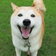 たいこん様 専用のサムネイル