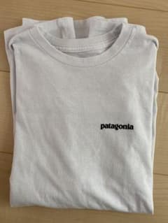 パタゴニアTシャツのサムネイル