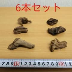 マングローブ系ミニ流木6本①　　　　　　アクアリウム3点同時購入800円引き‼️のサムネイル