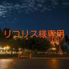 リコリス様専用のサムネイル