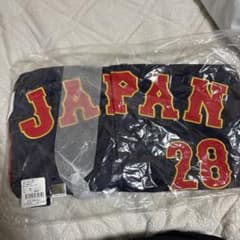 侍ジャパンWBC2023高橋宏斗選手のビジターユニフォーム Lサイズ 28
