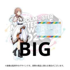 未開封 MOIW2025 公式ビッグアクスタ 姫崎莉波 - メルカリ