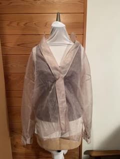 styling/ オーガンジー 長袖シャツ ブラウスのサムネイル
