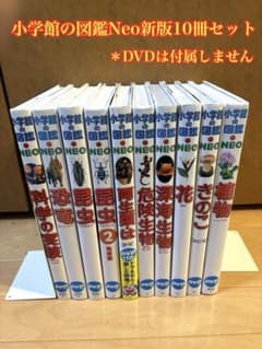 小学館の図鑑●NEO シリーズ　10冊セット 小学館の図鑑NEO 新版 10冊セット - メルカリ