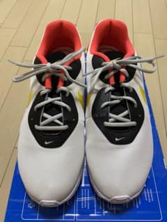 NIKE ナイキ　スニーカー　29cmのサムネイル