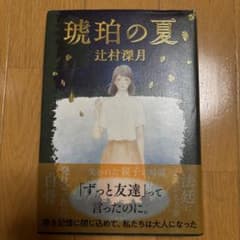 琥珀の夏 辻村深月のサムネイル