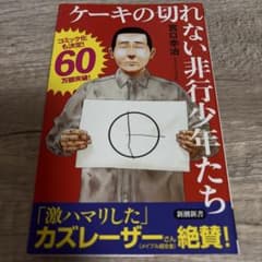 ケーキの切れない非行少年たち　宮口幸治のサムネイル