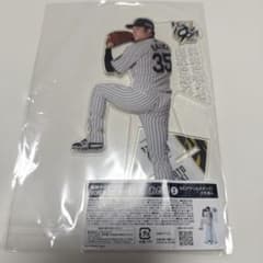 m49700405714_1.jpg?1748439451