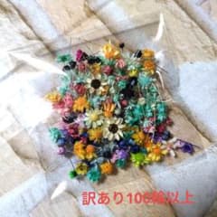 MIXスターフラワーミニ約100輪以上①のサムネイル