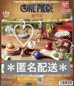 ONEPIECE 원피스 메지루시 액세서리 라분