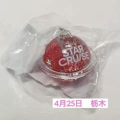 STARGLOW STARCRUISE Local Keyring 栃木 - メルカリ