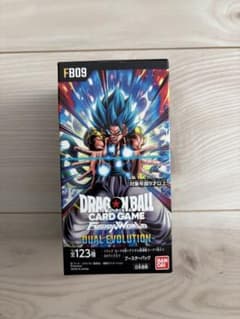 テープ付き DUAL EVOLUTION デュアルエボリューション 1BOX - メルカリ