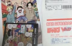 未開封 ワンピース 最強の3兄弟パック 応募者全 ジャンプ ドンカード
