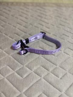 DOG DEPT 犬用首輪 パープル　大型犬のサムネイル