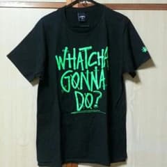STUSSYTシャツのサムネイル