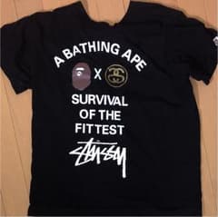 Stussy Tシャツのサムネイル