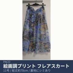 paco 絵画調プリント フレアスカート シアー 青 レトロ古着のサムネイル
