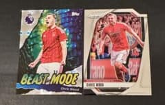 크리스 우드 Topps Panini 2장 세트