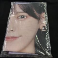 乃木坂46 lucky bag 2026 バッグ　池田瑛紗 未開封 乃木坂46 池田瑛紗 2026年 福袋 Luckybag のぼり - メルカリ