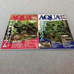 月刊アクアライフ 2冊セット アクアテラリウム特集のサムネイル