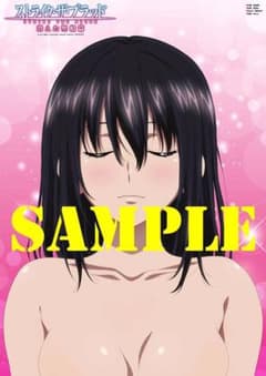 ストライク・ザ・ブラッド OVA 消えた聖槍篇  特典のサムネイル