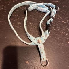 トトアンドパル　ハーネスのサムネイル