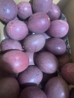 訳あり】沖縄県産パッションフルーツ3kg サイズ不揃い - メルカリ