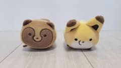 너구리와 여우