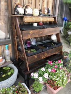 メダカ飼育ラック大 ケース付 - メルカリ