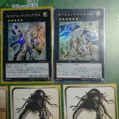 セイクリッドプレアデス セイクリッドトレミスm7のサムネイル