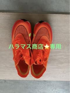 ナイキ ズームX ヴェイパーフライNEXT% 2のサムネイル