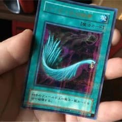 ハーピィの羽根箒のサムネイル