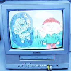 AIWA テレビデオ 14型ブラウン管テレビ VX-T14GX60 - メルカリ