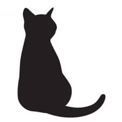 確認用のサムネイル